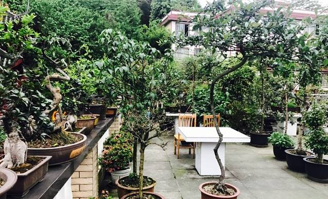 蒲江蜀西楼商务酒店