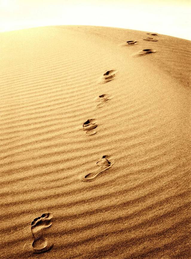 一举堂明合老火锅