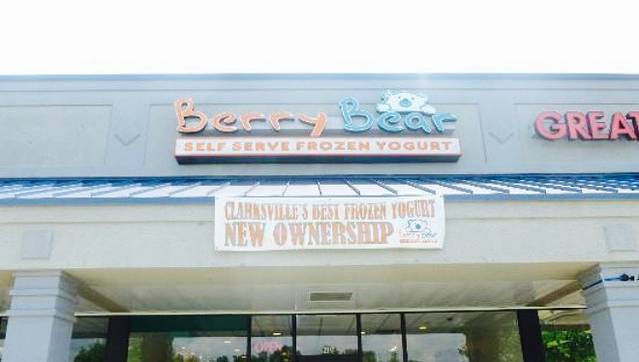 Berry Bear Frozen Yogurt