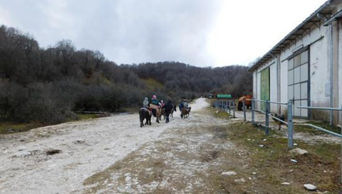 Azienda Agrituristica Centro Ippico Vallecupa Restaurant的图片