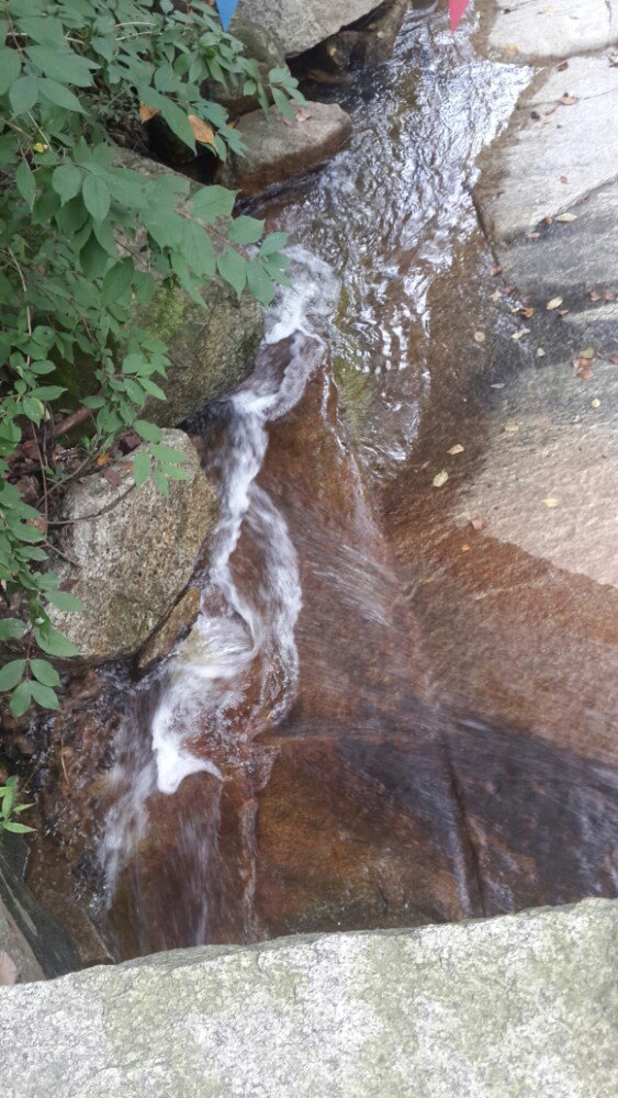 蒙山卞记全羊(蒙山国家森林公园店)