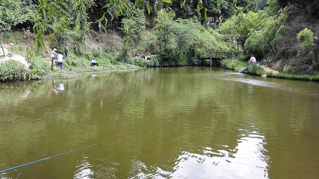 黄龙箐生态烤全羊