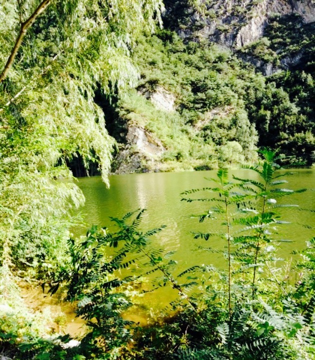 碧绿山水农家餐厅(六道河村店)