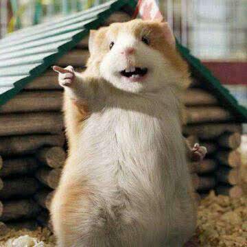 胖婶儿肉蟹煲(西美花街店)