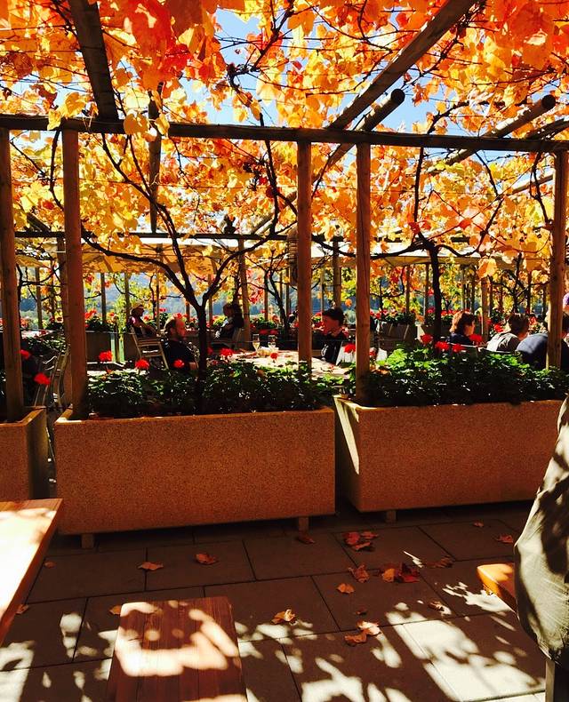 Restaurant Frickberg