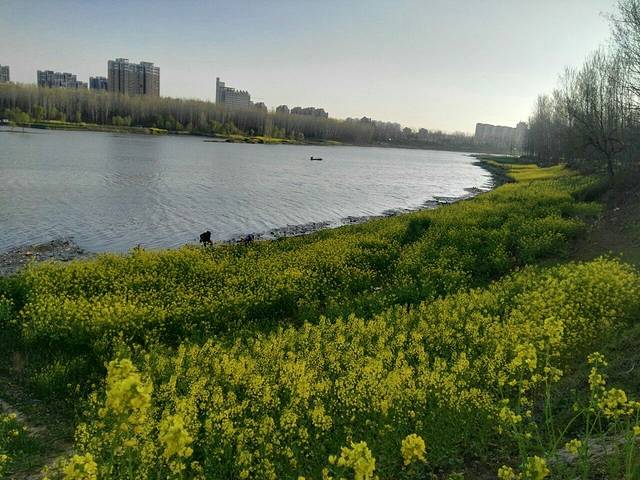 驻马店嵖岈山山雅居农家饭