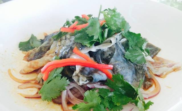 绿野仙踪生态农业园