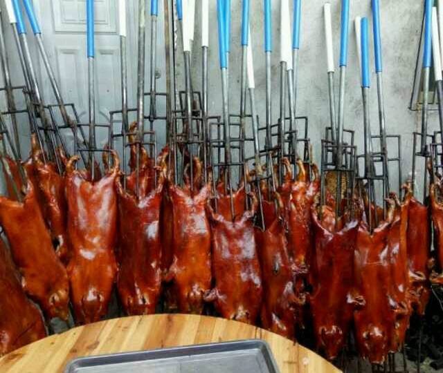 临高金奖烤乳猪(长滨路店)