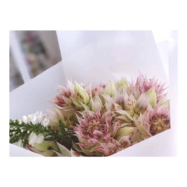 Wagas沃歌斯(富力广场店)