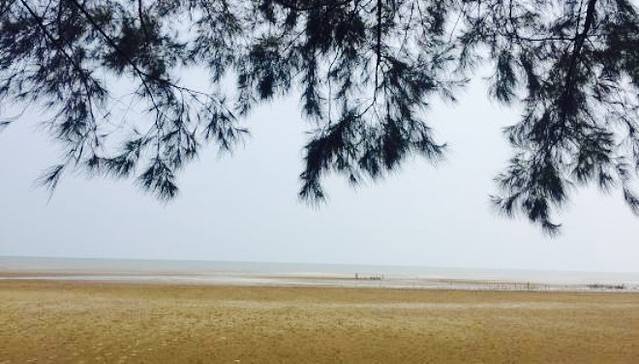 Golden Sea Restaurant