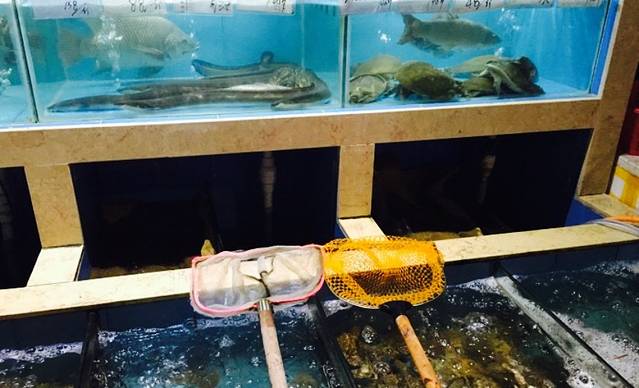 蛇口老街鱼仔档洋河蓝色经典