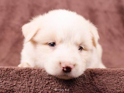 银果子西饼屋(中山公园三店)