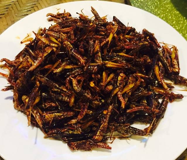 傣苑傣味园餐厅