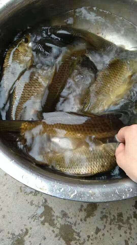 明华原汤牛肉(彭祖广场店)