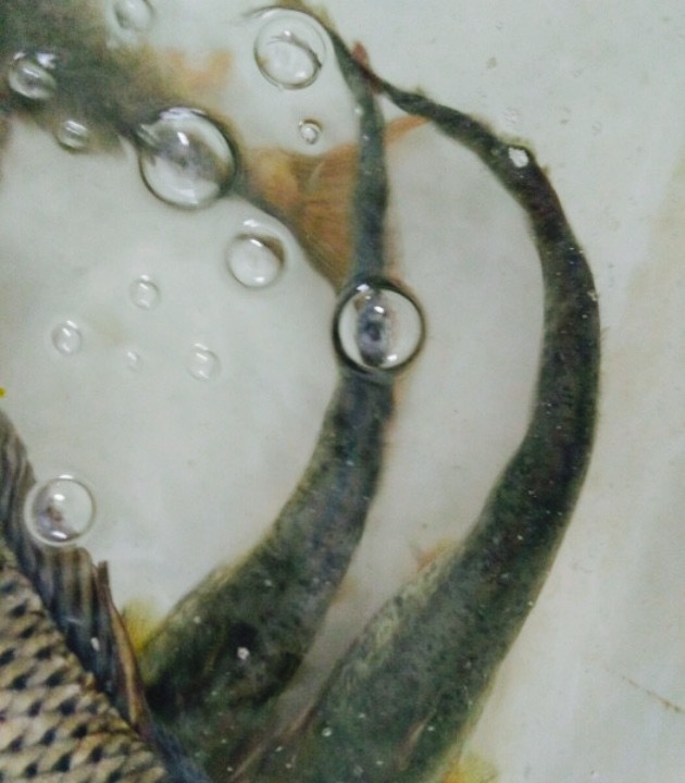 老街坊美食园(龙车辇店)