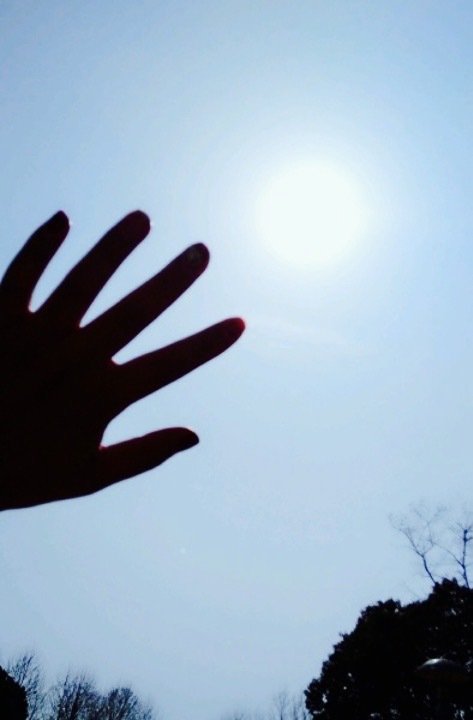 陈林鸭子店(福园街店)