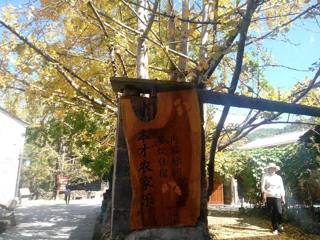 腾冲银杏村本才农家乐