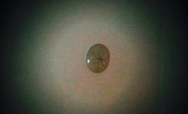 一拐弯全羊馆(阳光舜城店)