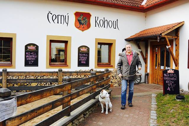 Cerny Kohout