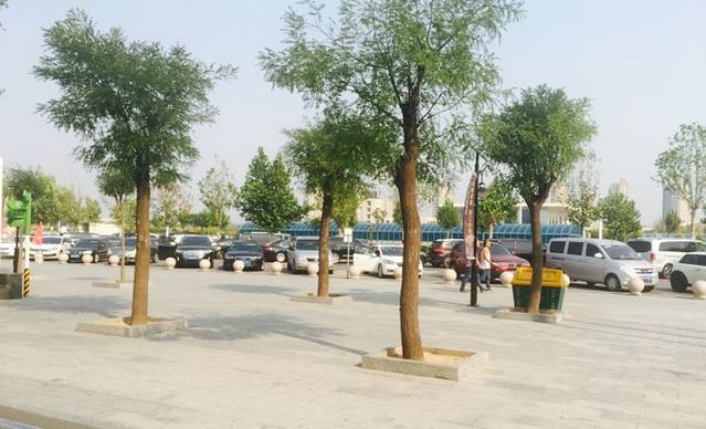 涿州服务区-餐厅