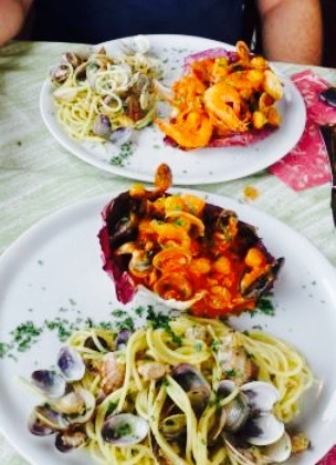 TAAF Terra Aria Acqua Fuoco