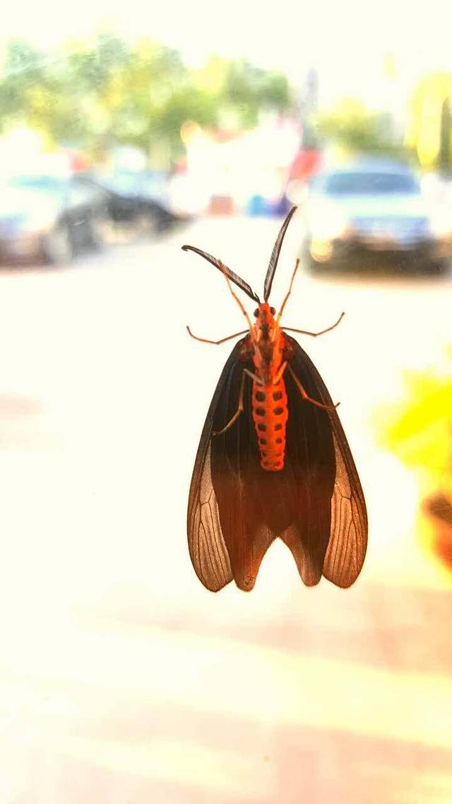 信阳私房菜(蓝湾尚街店)