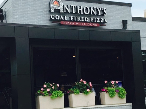 anthonys coal fired pizza