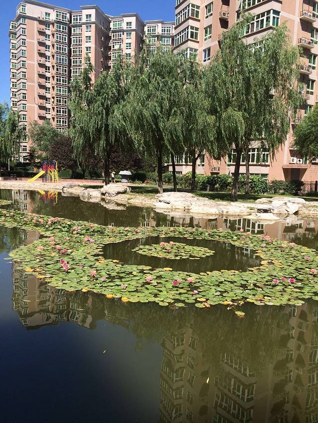 肯德基(板井路店)