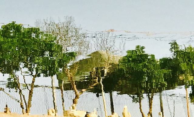 胜洲农庄(番禺店)