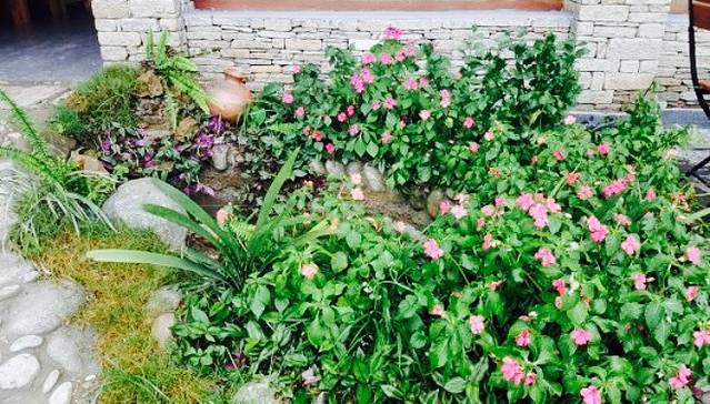 Fresh Elements Restaurant