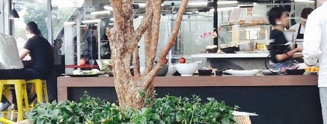 Petí Panamericana Groenlândia