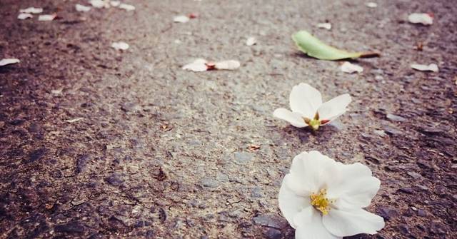 龚太婆牛肉粉面(民主路店)