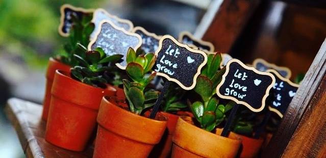 Tsirani Garden Restaurant