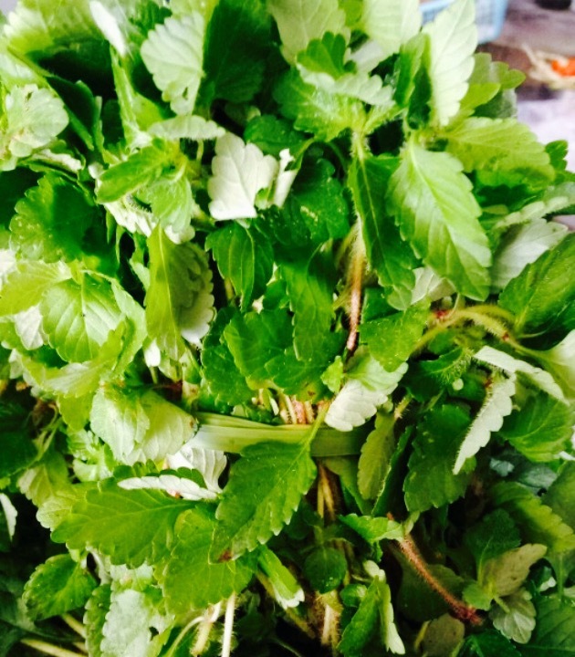 杨厨子生态野菜馆(御景天下店)