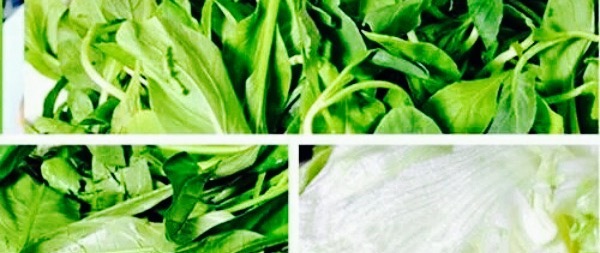 薛曲正宗羊肉馆(状元西街)