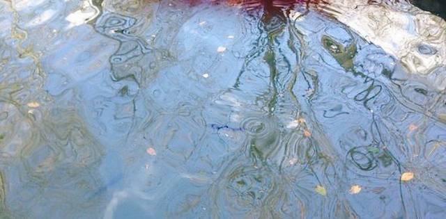 Restaurant Koliba nad Potokom