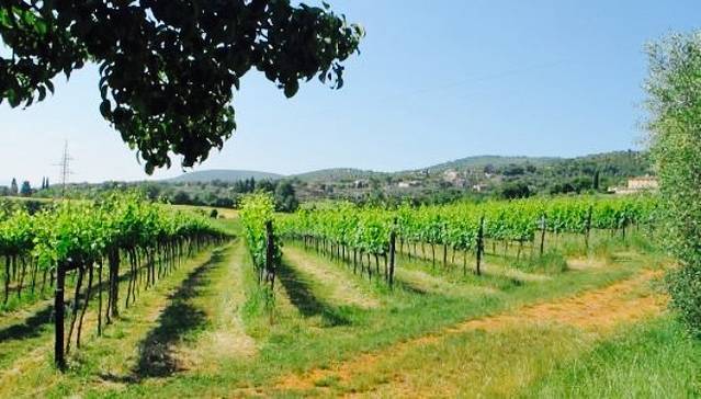 Bioagriturismo Podere Ficareto