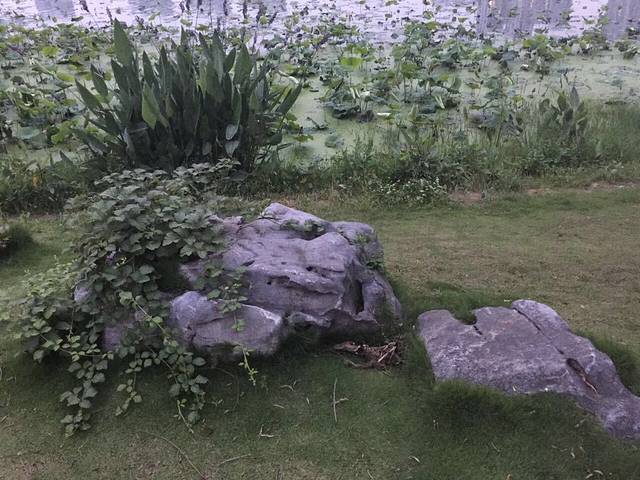 东湖宾馆中餐厅