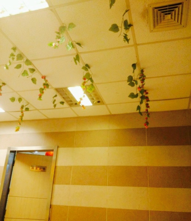 华莱士(向阳店)