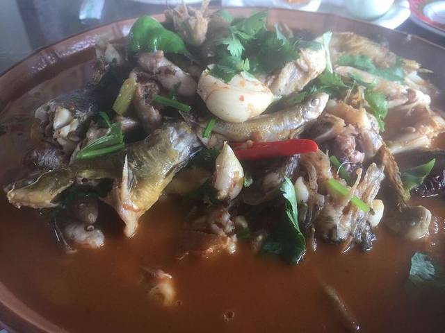 微山湖辣子鸡野鱼馆(康宁路店)