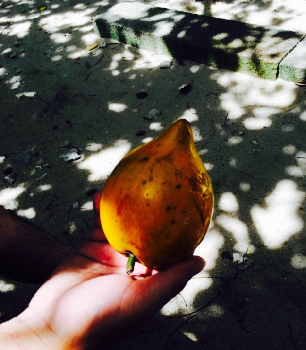 三亚明申高尔夫度假酒店·满庭芳西餐厅