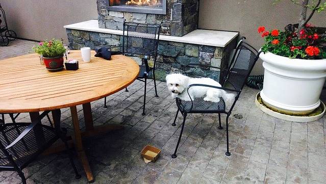 Nine O Bar and Grill