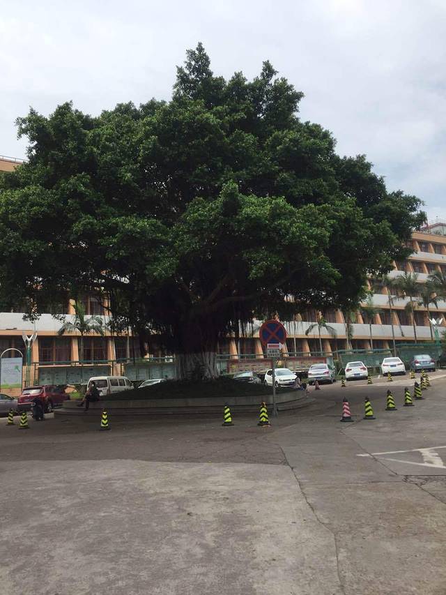 和善园(建宁路店)