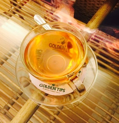 Golden Tips Tea Cosy