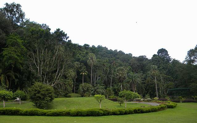 槟城植物园