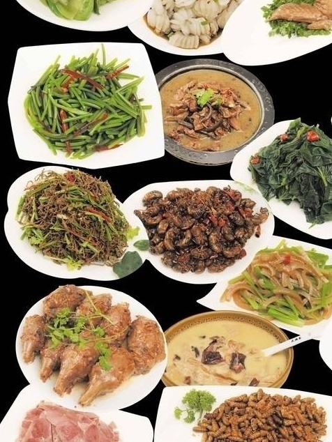 月下篱笆农家饭