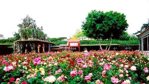 天牧玫瑰度假庄园