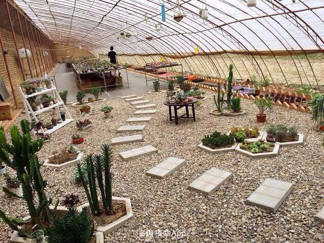 万贯驴肉火烧(中心大街店)