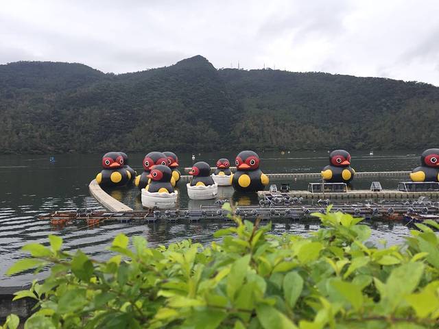 鲤鱼潭环潭自行车道