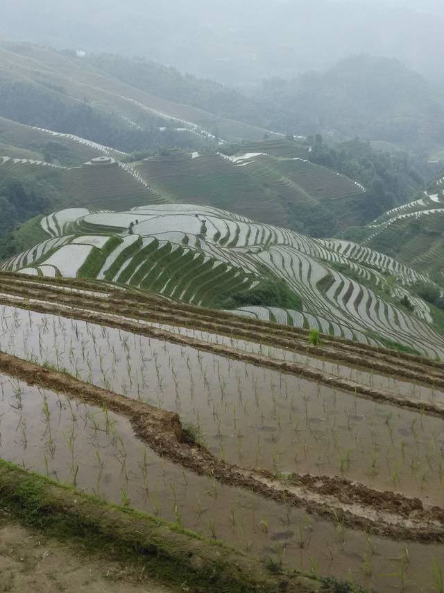 西山韶乐观景点